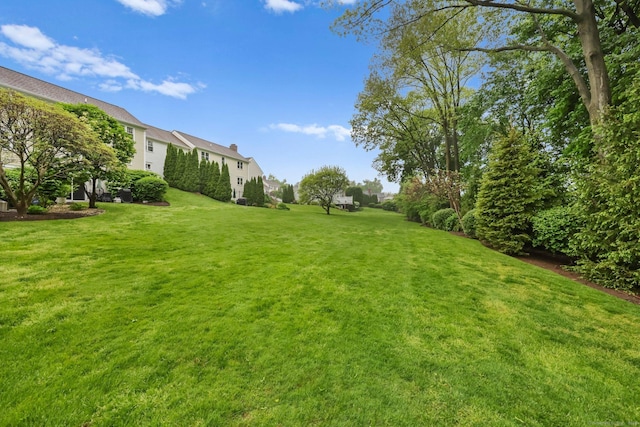 123 Richmond Hill Rd Unit 20, New Canaan, CT 06840 - view of grassy yard