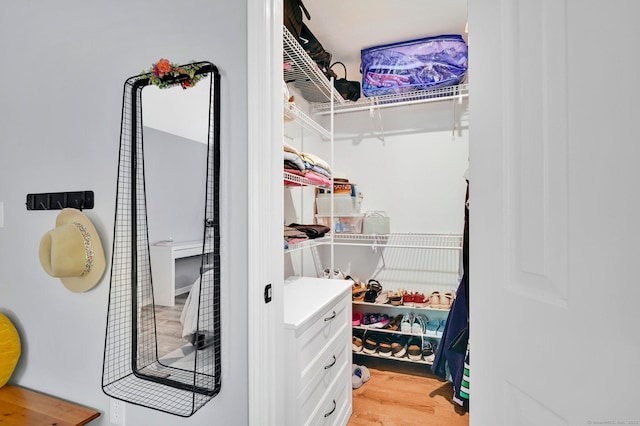 spacious closet with light wood-type flooring