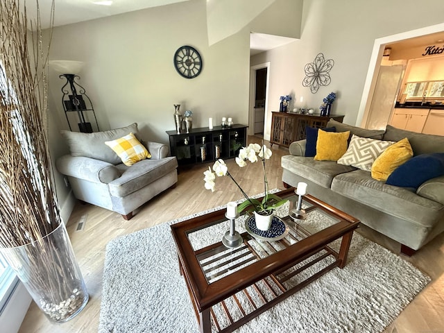 living room featuring wood finished floors
