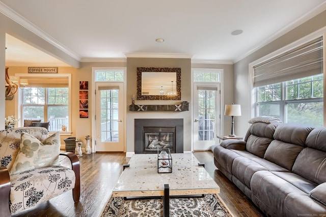 living room with dark wood-style floors, plenty of natural light, crown molding, baseboards, and a glass covered fireplace