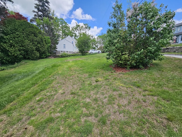 1 Arlington Hts, Norwich, CT 06360 - view of grassy yard