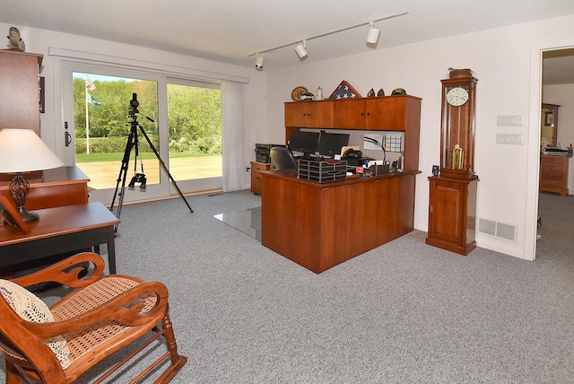 home office with carpet and rail lighting