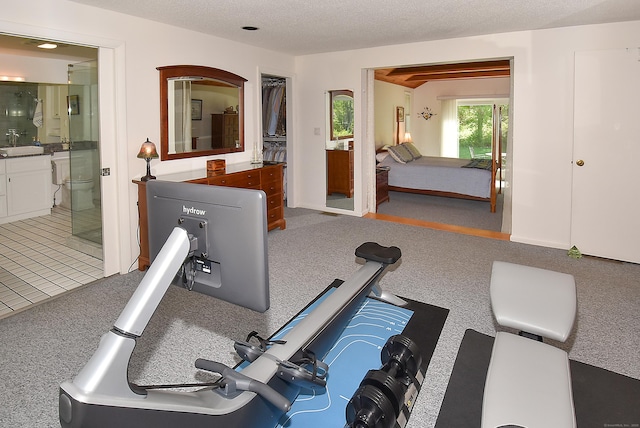 exercise room with carpet flooring, a sink, and a textured ceiling