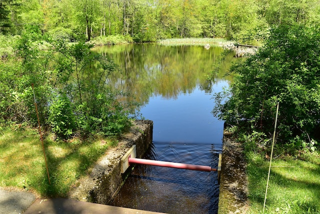 water view featuring a forest and a dock