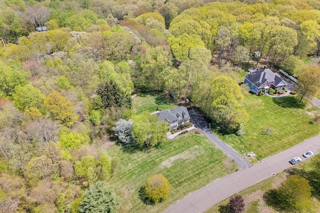 bird's eye view of a forest