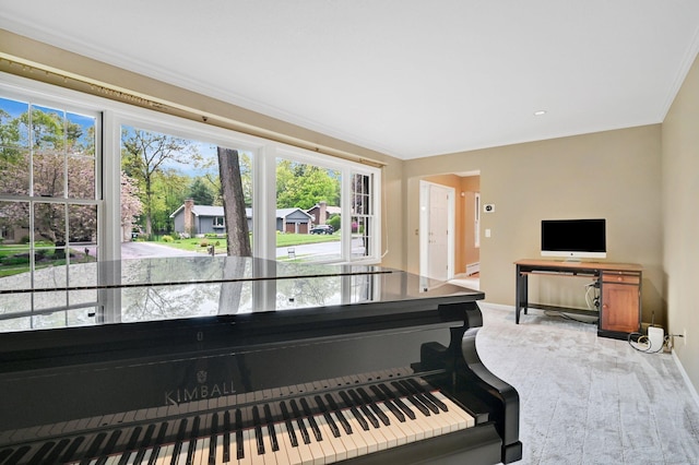 detailed view of carpet floors, baseboards, a baseboard heating unit, and crown molding