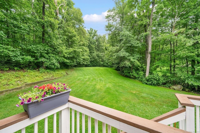 451 Jones Hollow Rd, Marlborough, CT 06447 - view of green lawn