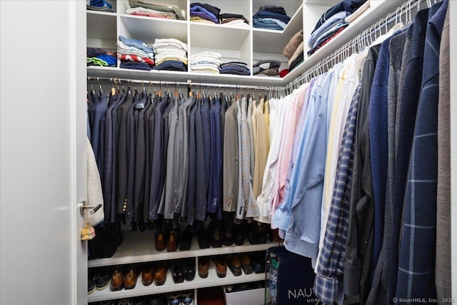 view of spacious closet