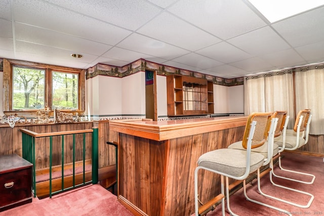 bar featuring a dry bar, a drop ceiling, and carpet floors