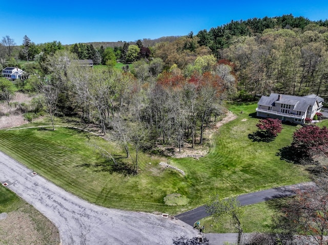 bird's eye view with a wooded view