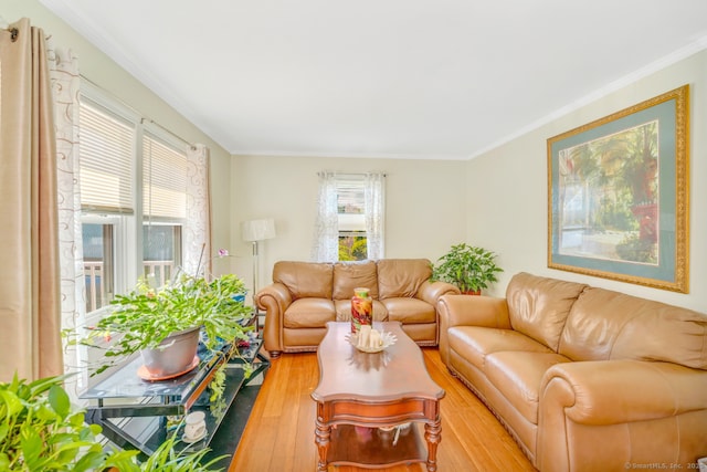 living room with ornamental molding and wood finished floors