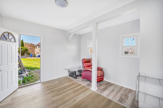 living area with wood finished floors, healthy amount of natural light, and baseboards