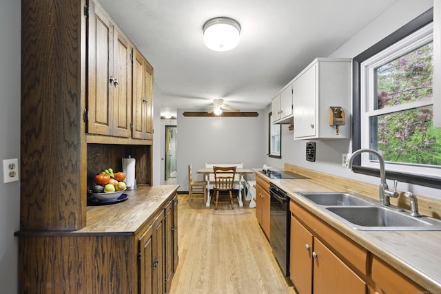 kitchen with a sink, healthy amount of natural light, light wood-style floors, and ceiling fan