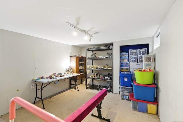 recreation room featuring rail lighting and carpet