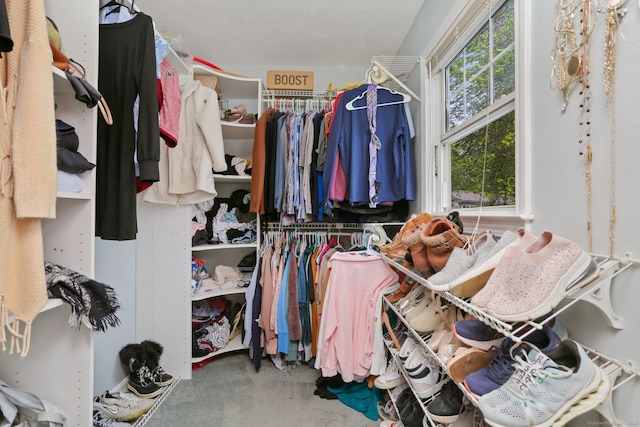 spacious closet with carpet flooring
