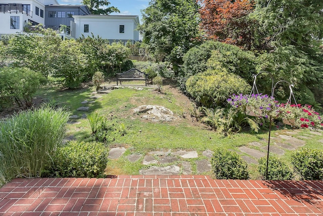 38 Heritage Hill Rd Unit 38, New Canaan, CT 06840 - view of yard