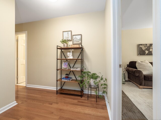 120 Prospect St Apt 2, Ridgefield, CT 06877 - corridor with wood finished floors and baseboards