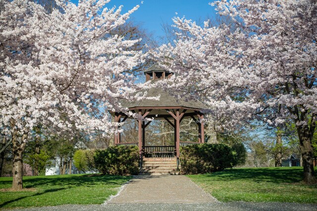 120 Prospect St Apt 2, Ridgefield, CT 06877 - view of property's community featuring a lawn