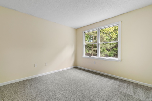 63 Summit St Apt 16, Manchester, CT 06040 - spare room featuring carpet floors, baseboards, and a textured ceiling