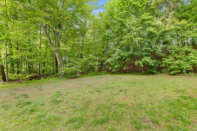63 Summit St Apt 16, Manchester, CT 06040 - view of grassy yard with a view of trees