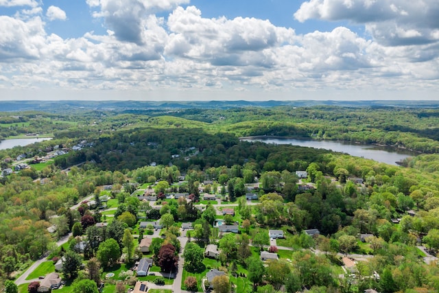 drone / aerial view of a forest and a large body of water