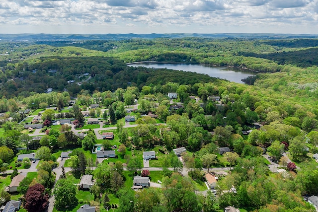 drone / aerial view of a forest and a large body of water