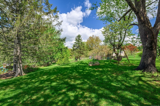 view of green lawn