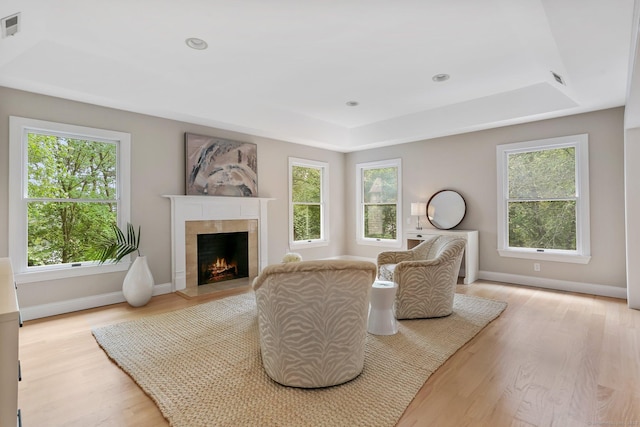681 Old Stamford Rd, New Canaan, CT 06840 - living area featuring a raised ceiling, healthy amount of natural light, a fireplace, and light wood-style flooring