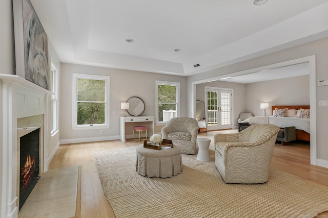 681 Old Stamford Rd, New Canaan, CT 06840 - living area featuring light wood-type flooring, a premium fireplace, a raised ceiling, and baseboards