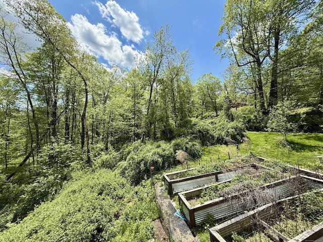 view of yard with a garden