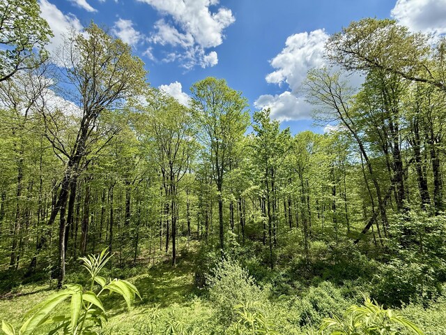 view of undeveloped land