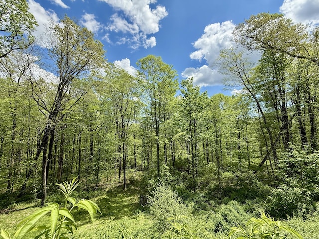 39 Peach Farm Rd, Oxford, CT 06478 - view of undeveloped land