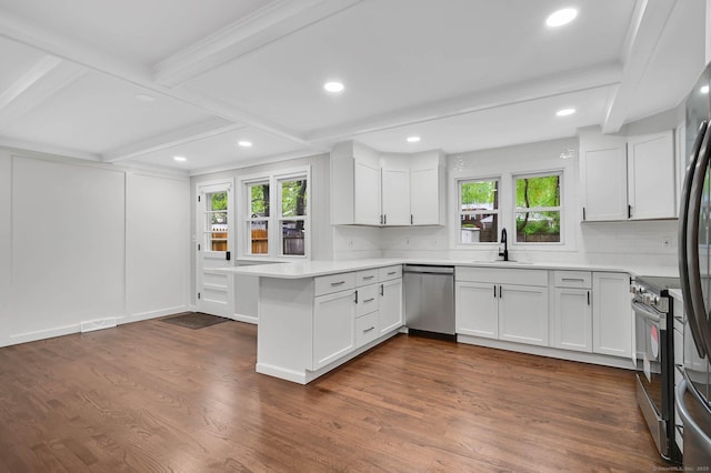 kitchen featuring appliances with stainless steel finishes, a peninsula, plenty of natural light, light countertops, and beamed ceiling