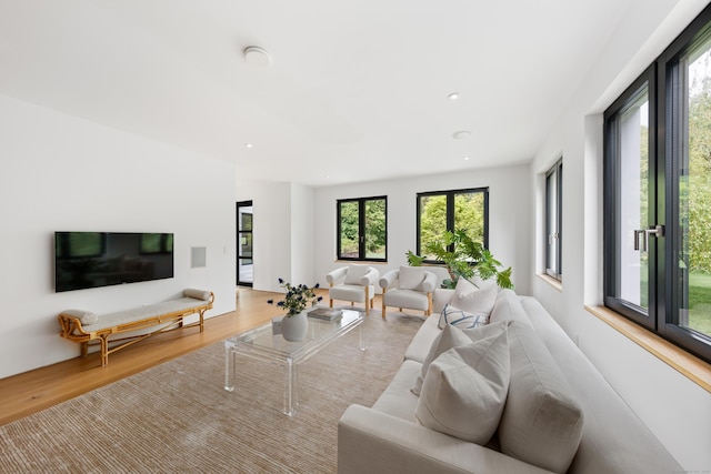 living area featuring wood finished floors and recessed lighting
