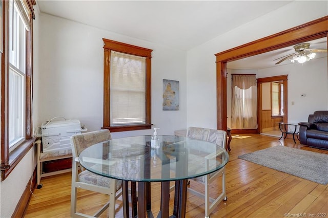 19 5th St, Ansonia, CT 06401 - dining area with light wood-style flooring, plenty of natural light, ceiling fan, and baseboards