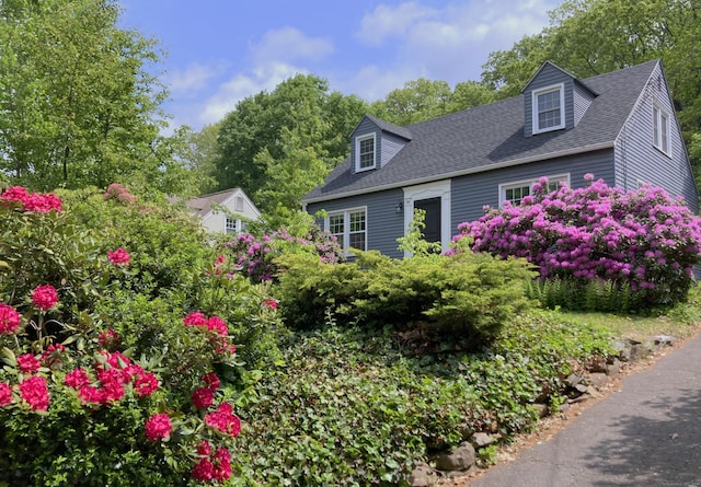 59 Overlook Dr, Manchester, CT 06042 - view of side of property with a shingled roof