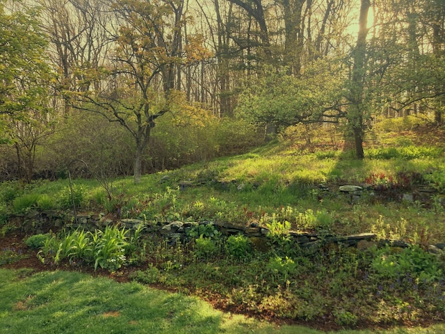 59 Overlook Dr, Manchester, CT 06042 - view of wooded area