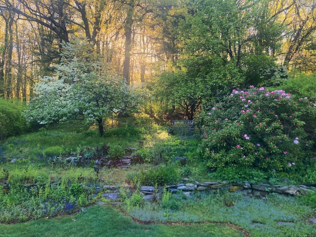 59 Overlook Dr, Manchester, CT 06042 - view of undeveloped land