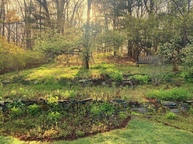 59 Overlook Dr, Manchester, CT 06042 - view of yard