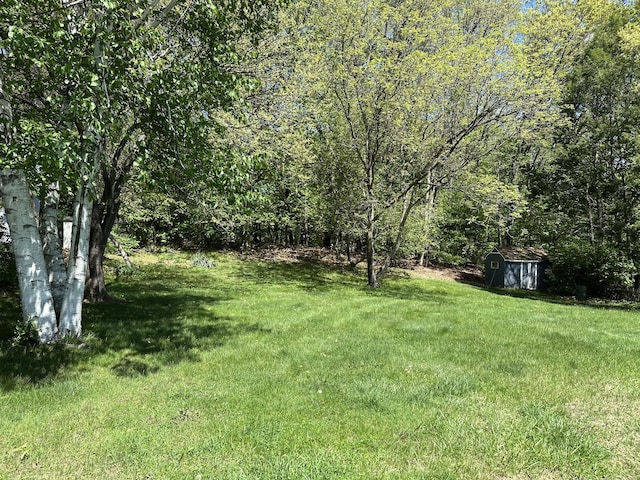 119 Chambers St, Manchester, CT 06042 - view of grassy yard featuring a view of trees