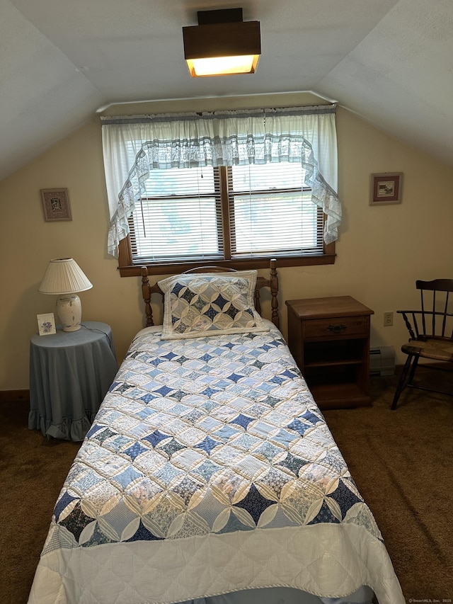 119 Chambers St, Manchester, CT 06042 - bedroom with carpet flooring, lofted ceiling, and a baseboard radiator