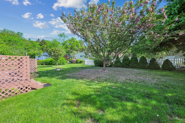 11 Jamestown Rd, Hamden, CT 06518 - view of yard
