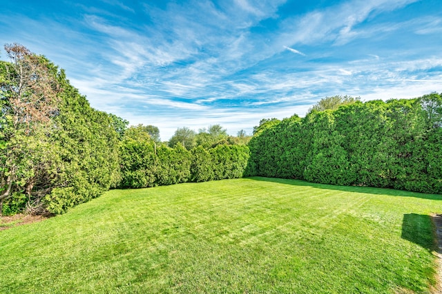 995 Maple St, Wethersfield, CT 06109 - view of grassy yard featuring a wooded view