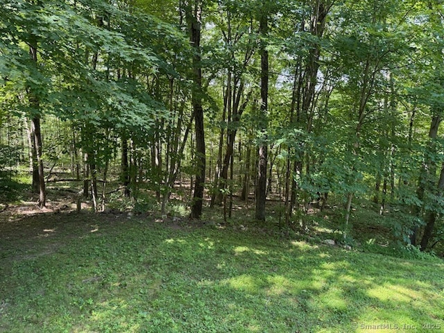 217 Homestead Rd, Southbury, CT 06488 - photo 32