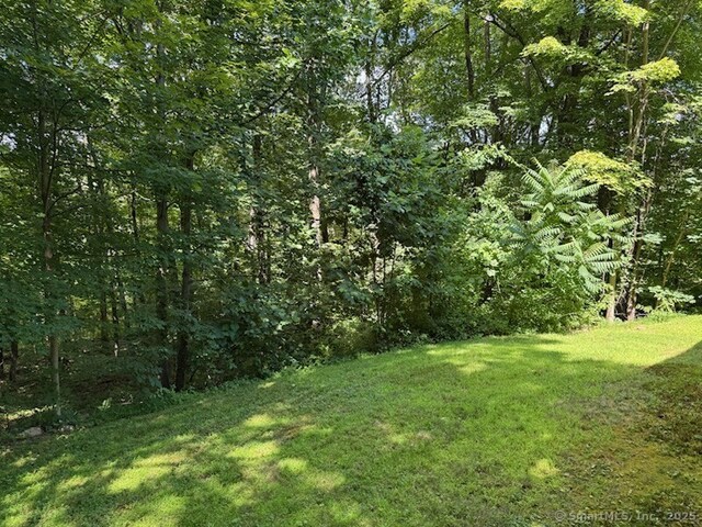 217 Homestead Rd, Southbury, CT 06488 - photo 33