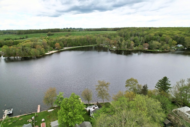 drone / aerial view of a nearby body of water