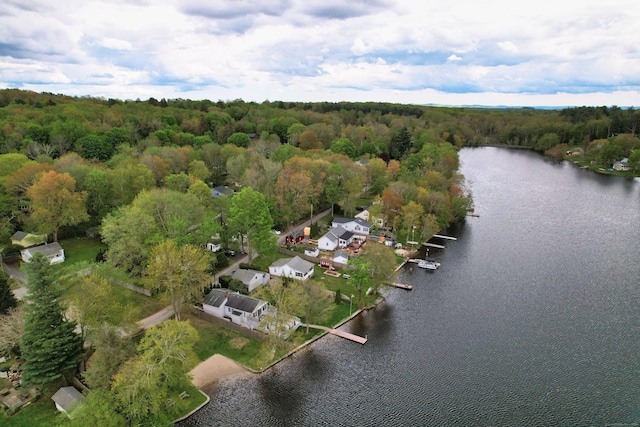 aerial view of property's location featuring a large body of water and a heavily wooded area