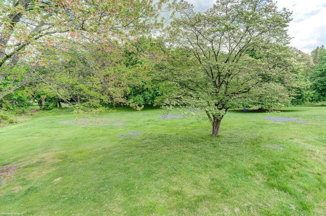 21 Summit Farms Rd, Southington, CT 06489 - view of grassy yard