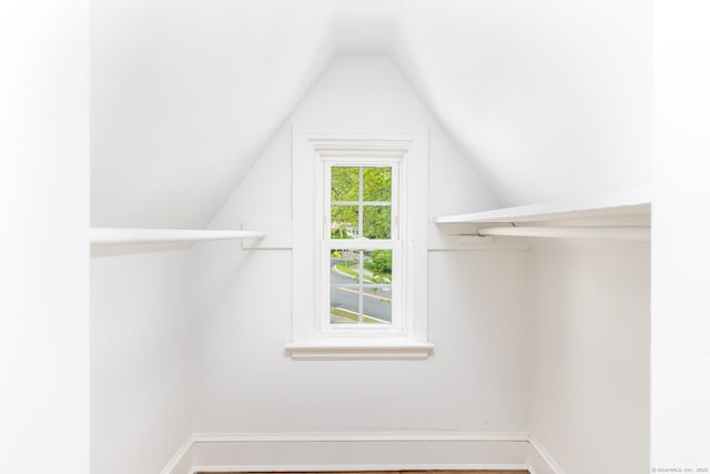 spacious closet with lofted ceiling