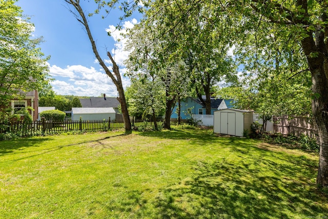view of yard featuring a storage shed and an outdoor structure